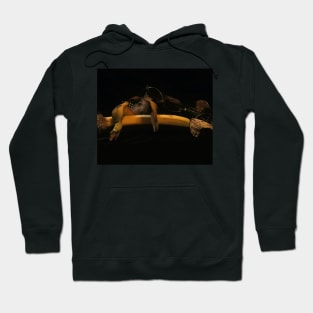 Banana, Thistle & Feathers - Baroque Inspired Dark Still Life Photo Hoodie